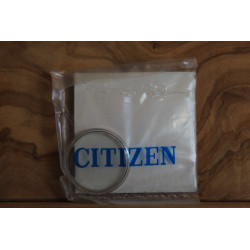 Citizen Glas/Crystal 54-0591S/54-05911S